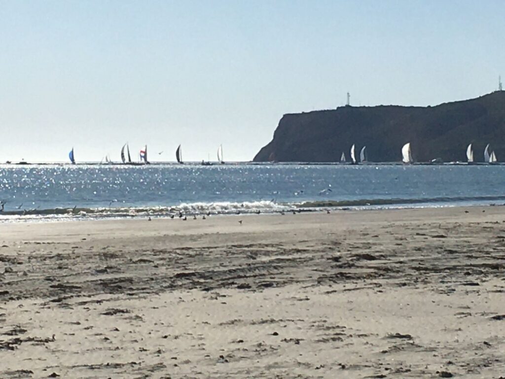 Beach view of sailboats on the ocean