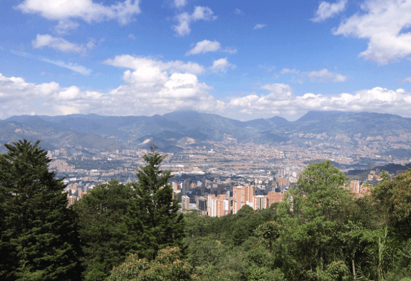 View of a city over treetops with mountains in the background