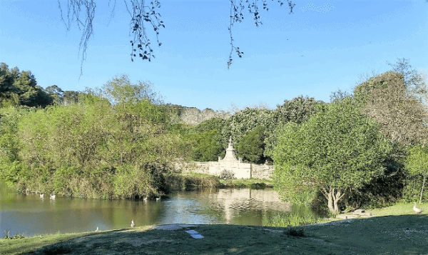 A pond surrounded by trees in the largest urban park in Portugal