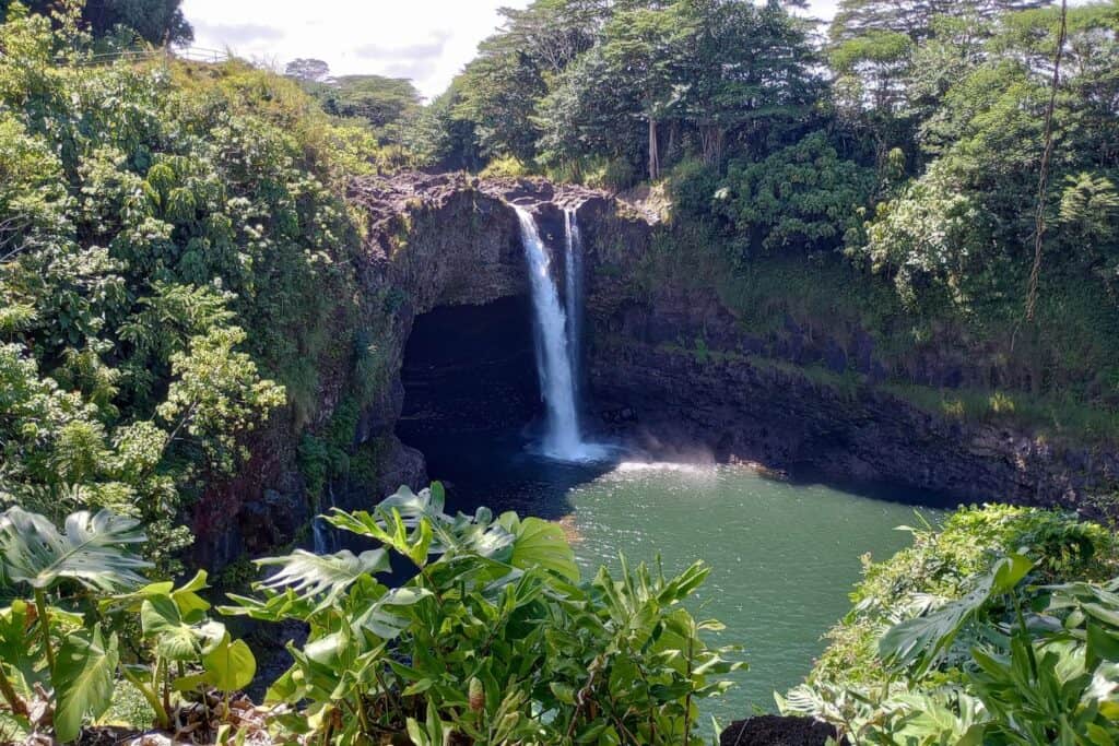 A small waterfall surrounded by lush greenery