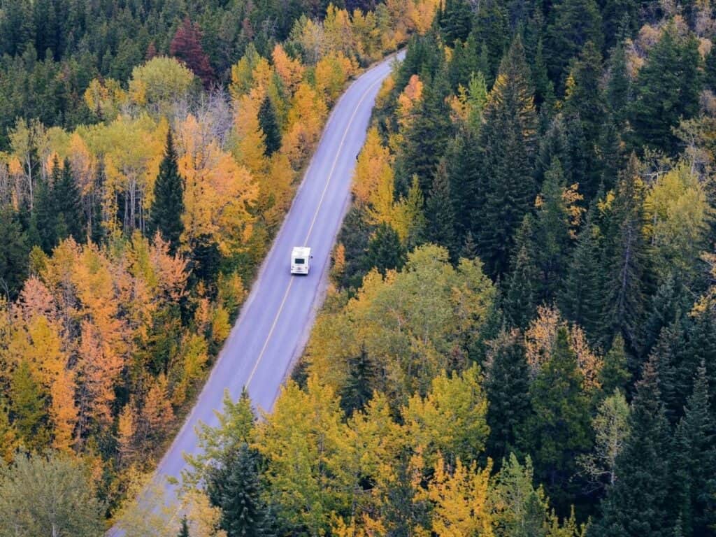 An RV traveling the highway through a pine forest