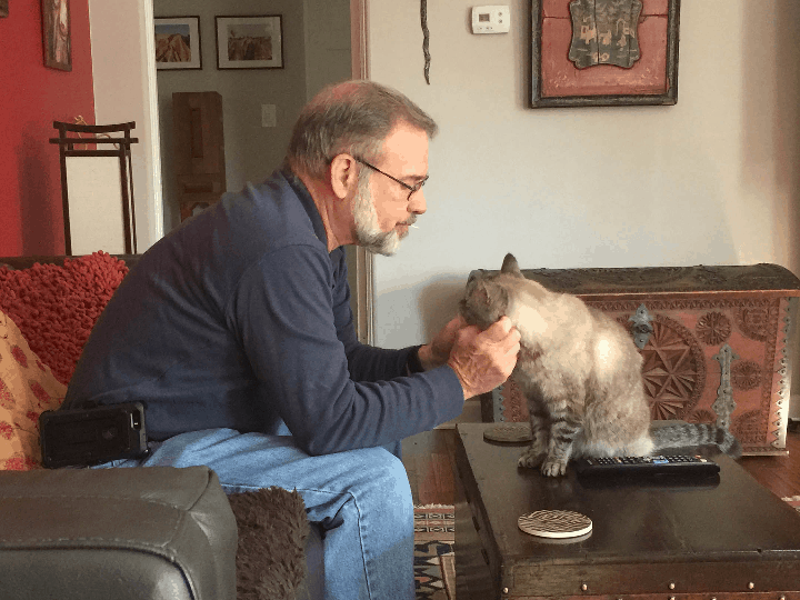 A man sitting on a couch petting a cat.