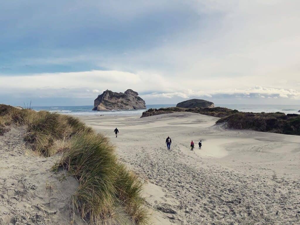 A rugged beach with large rocks and dunes