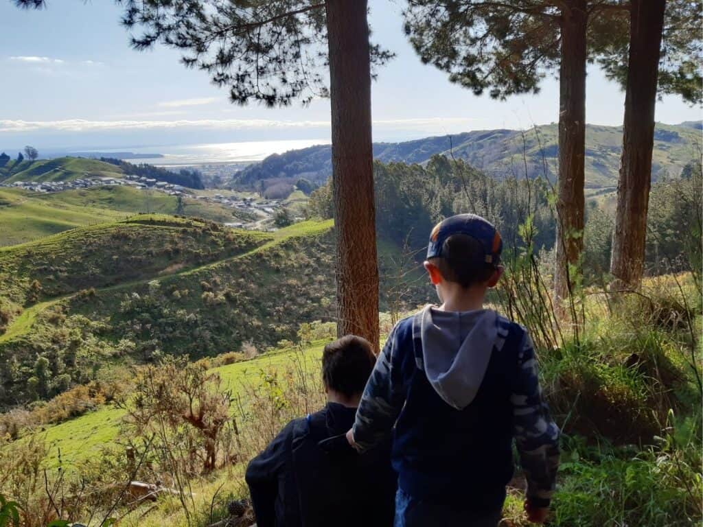 Two boys hiking down a grassy hill