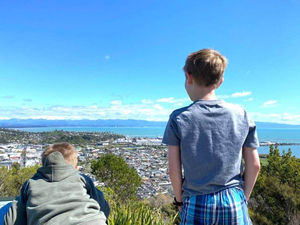 Two boys looking at a city from a hilltop