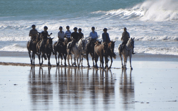 Picture of riders on horseback walking on the beach