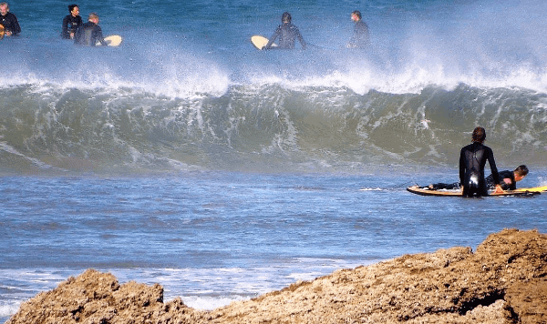 Picture of a group of surfers in wetsuits