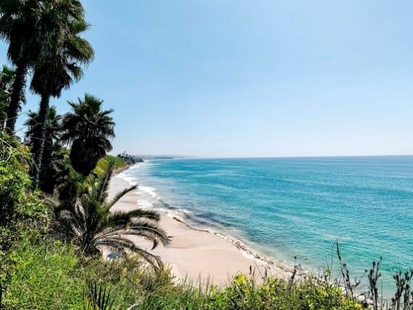 A coastal beach with palm trees - book a winter rental in San Diego