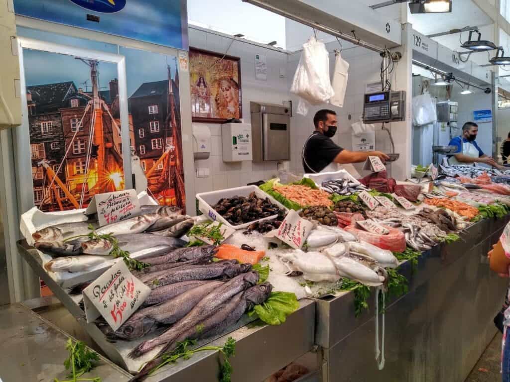 Fish on display at a market