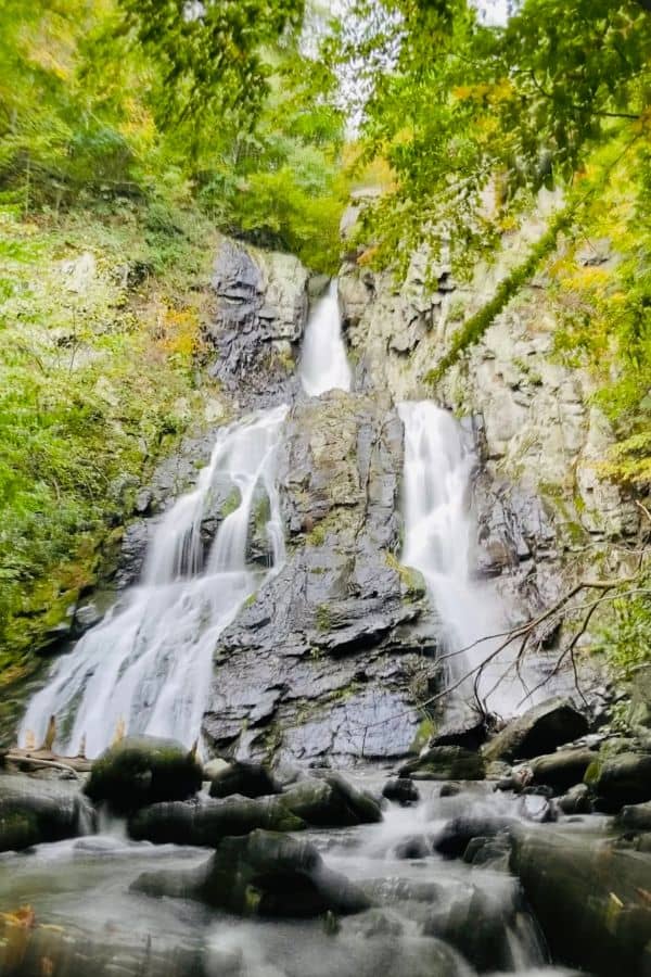 A waterfall flowing down the side of a cliff surrounded by greenery