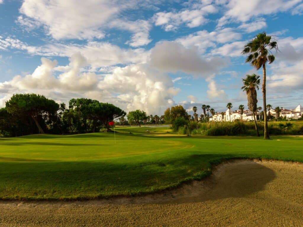 A golf course with pine trees and white buildings in the background