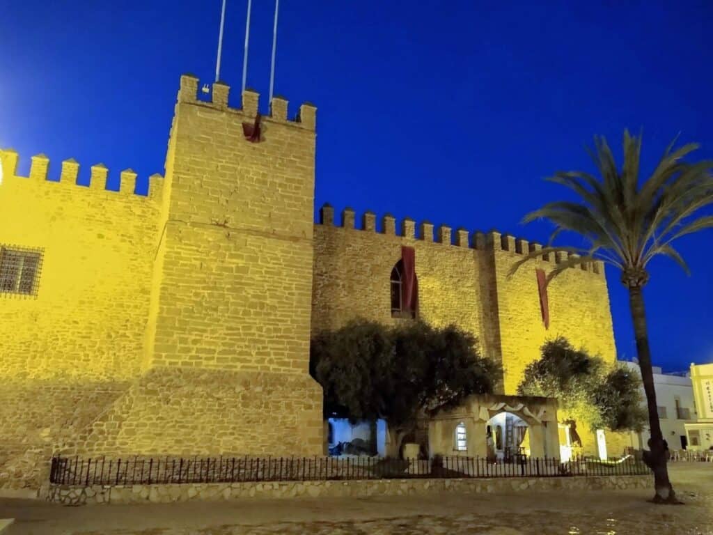 A castle with a palm tree in front of it