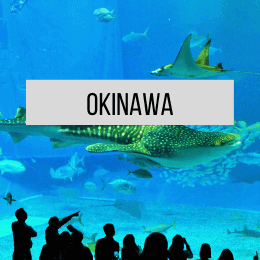 Link to article about visiting Okinawa