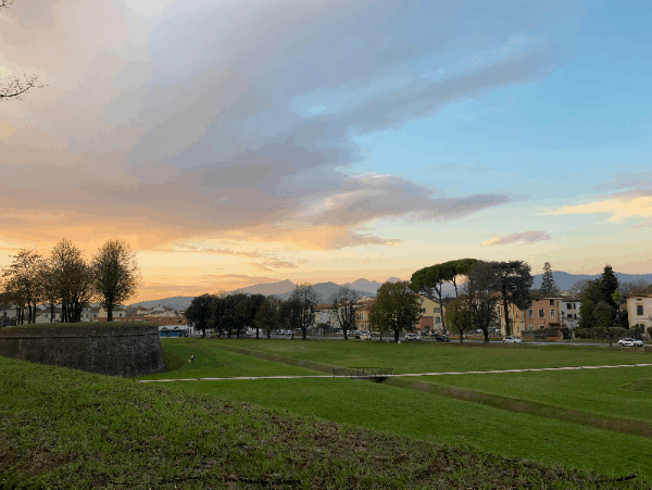 A field, homes, and mountains at dusk