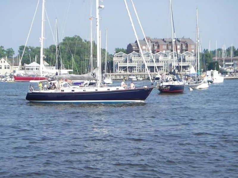 Sailboats in Annapolis Harbor