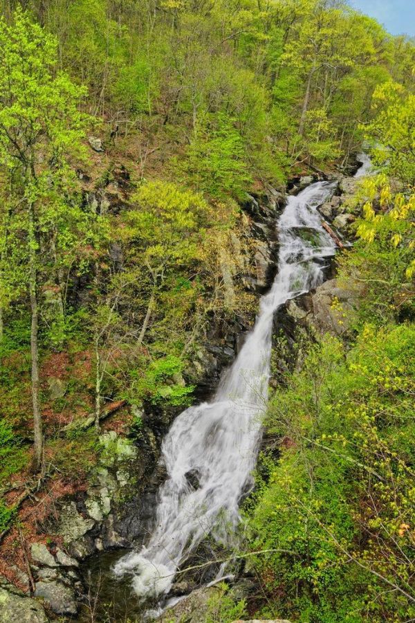 A long waterfall flowing besides green trees