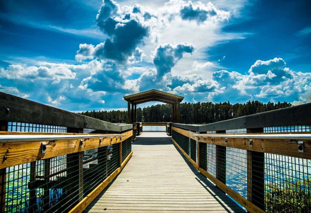 A wooden boardwalk over the water