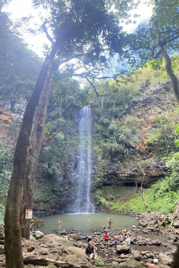 A water fall with people swimming at the bottom