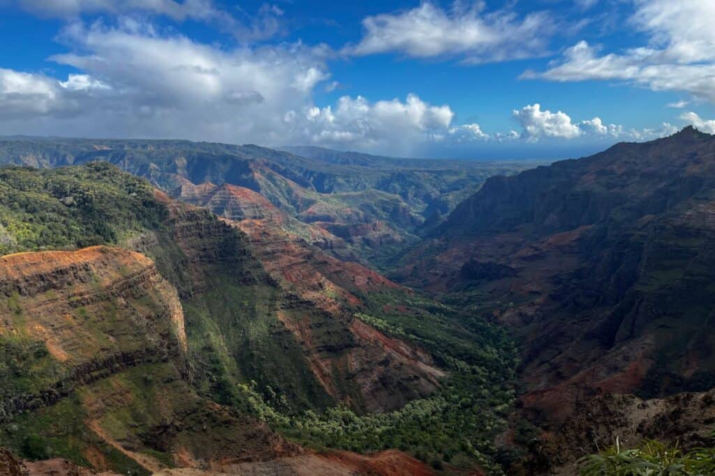 A canyon with tree-covered cliffs